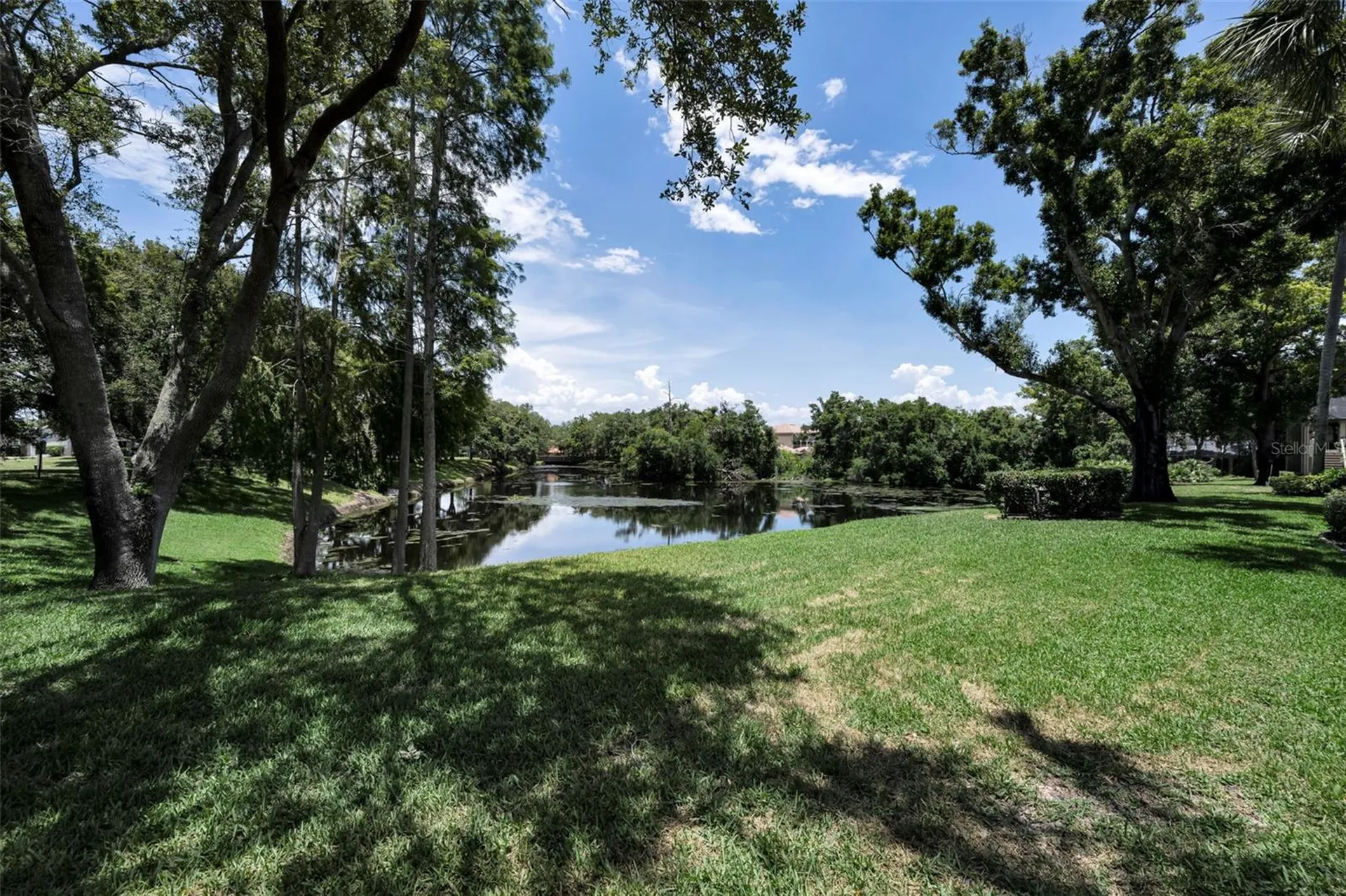 3165 Landmark Drive Clearwater FL 33761