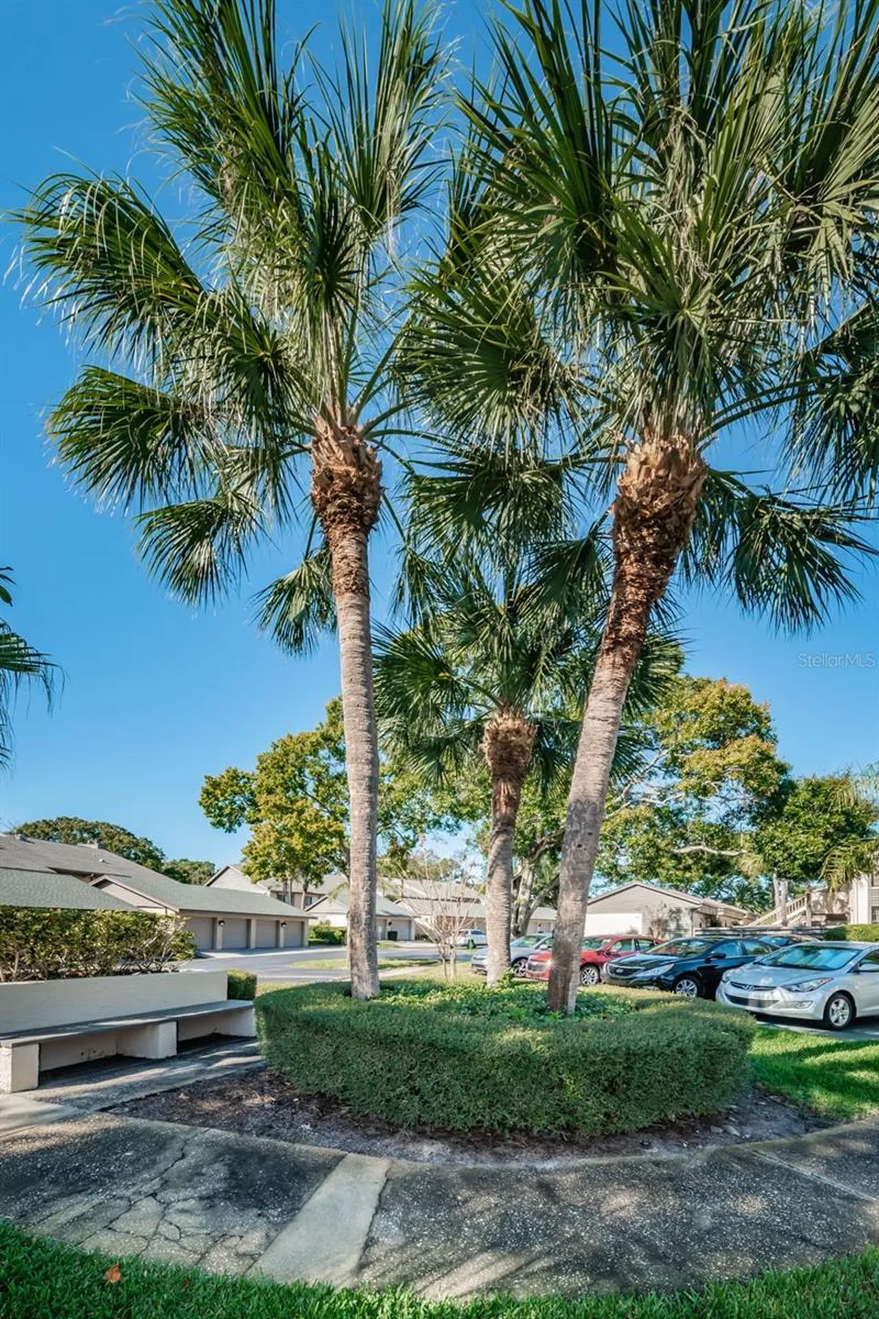 3165 Landmark Drive Clearwater FL 33761