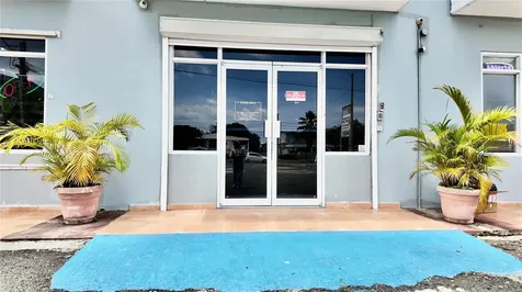 115 C. Marginal Rincon PR 00677