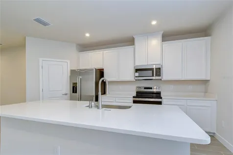 20253 Lou Angela Lane Lutz FL 33558