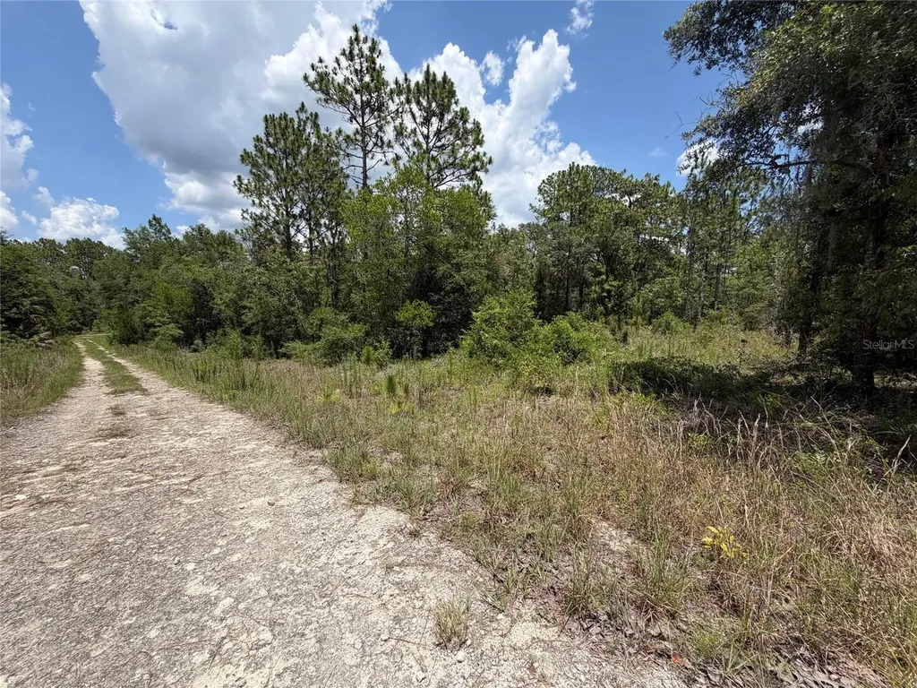 00 NE 65th Terrace Williston FL 32696