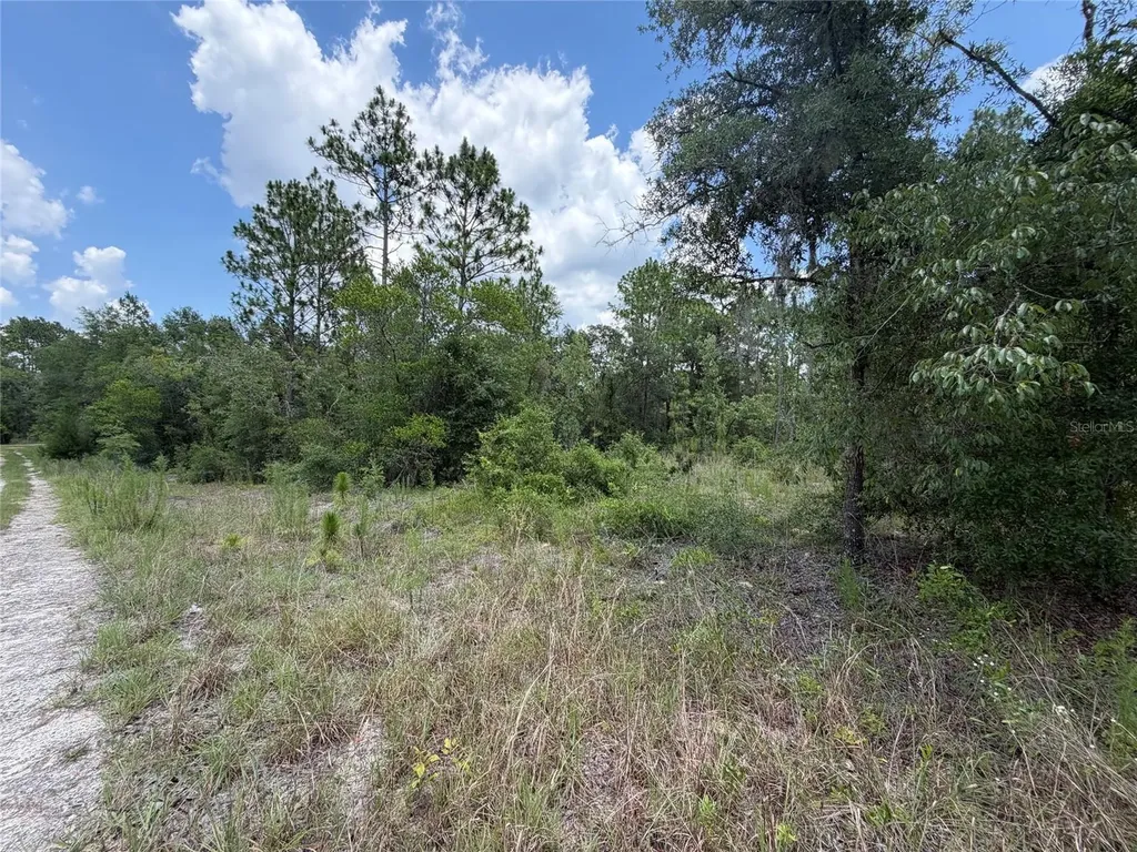 00 NE 65th Terrace Williston FL 32696