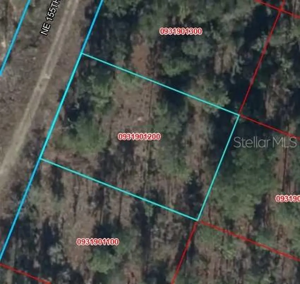 00 NE 65th Terrace Williston FL 32696