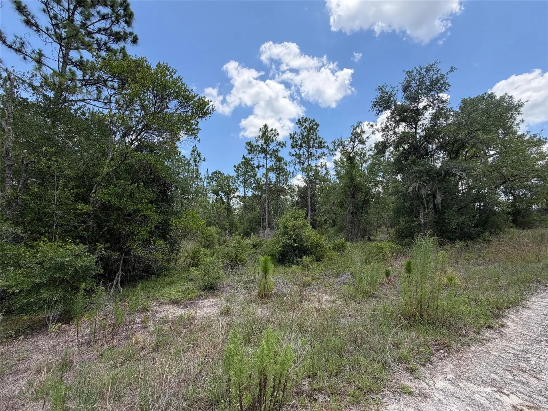 00 NE 65th Terrace Williston FL 32696