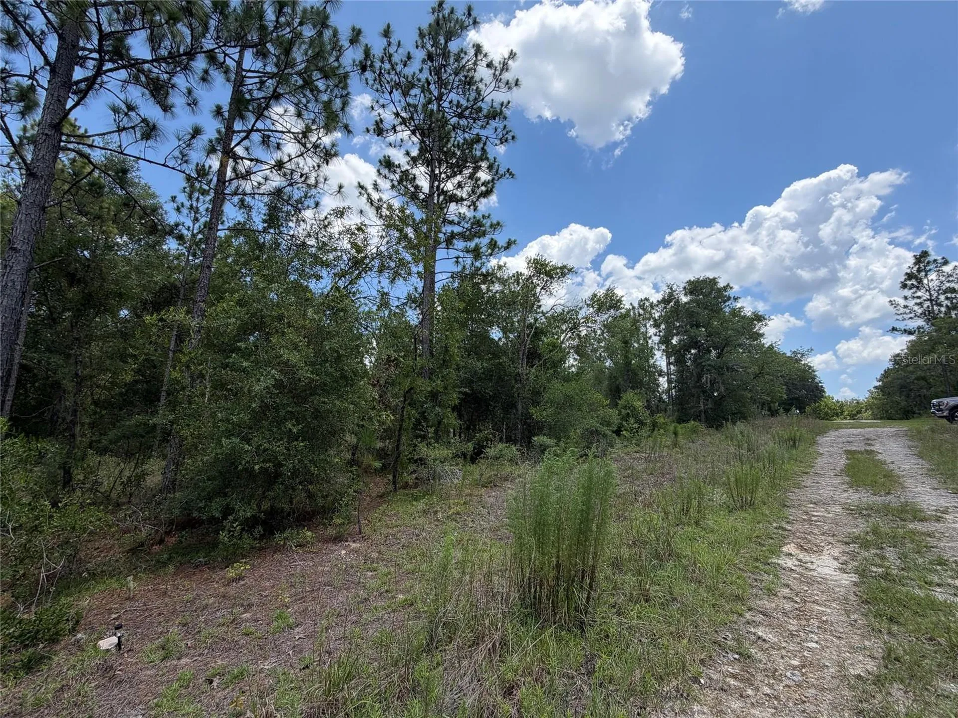 00 NE 65th Terrace Williston FL 32696