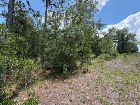 00 NE 65th Terrace Williston FL 32696