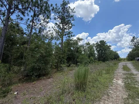 00 NE 65th Terrace Williston FL 32696