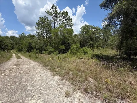 00 NE 65th Terrace Williston FL 32696