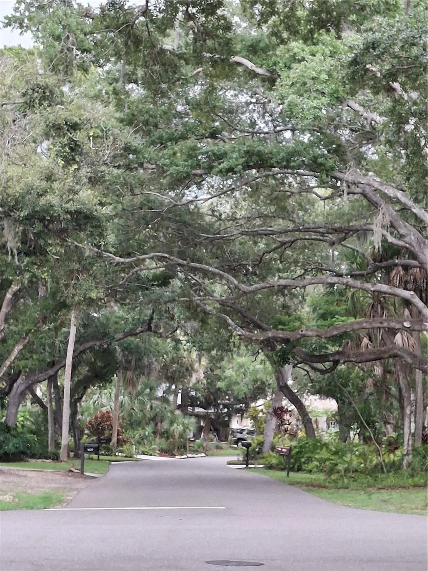 4424 Friar Tuck Lane Sarasota FL 34232