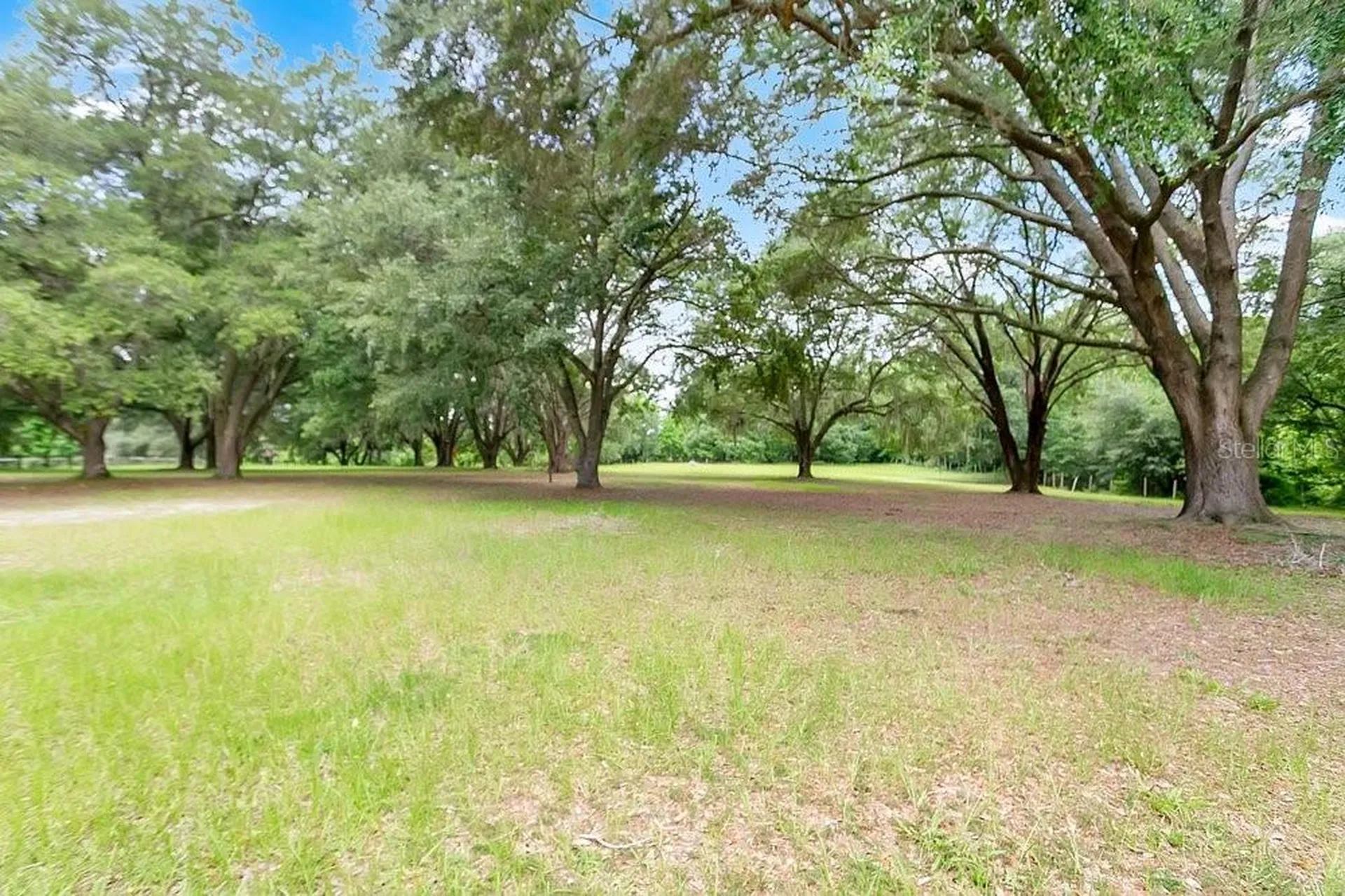 3700 SE 183rd Avenue Road Ocklawaha FL 32179