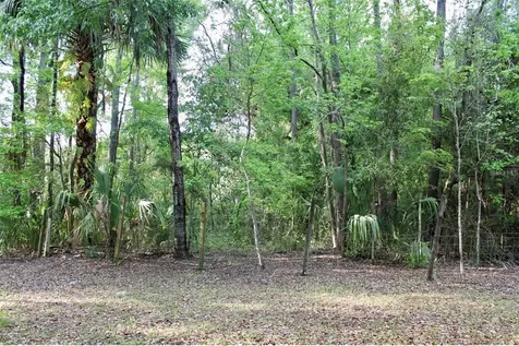 3700 SE 183rd Avenue Road Ocklawaha FL 32179