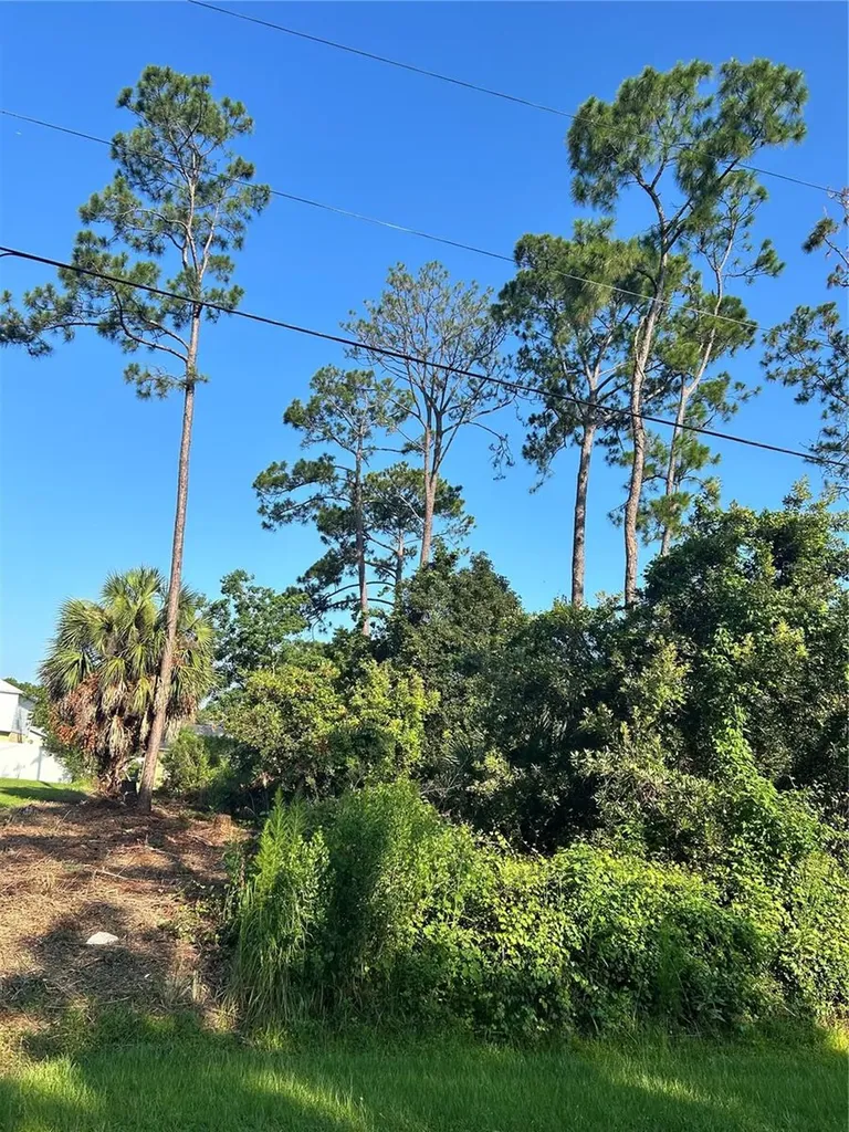 4 Ryberry Drive Palm Coast FL 32164