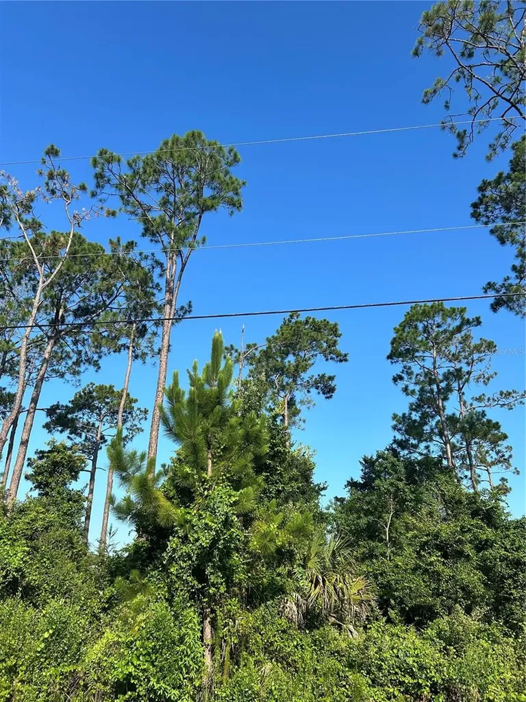 4 Ryberry Drive Palm Coast FL 32164