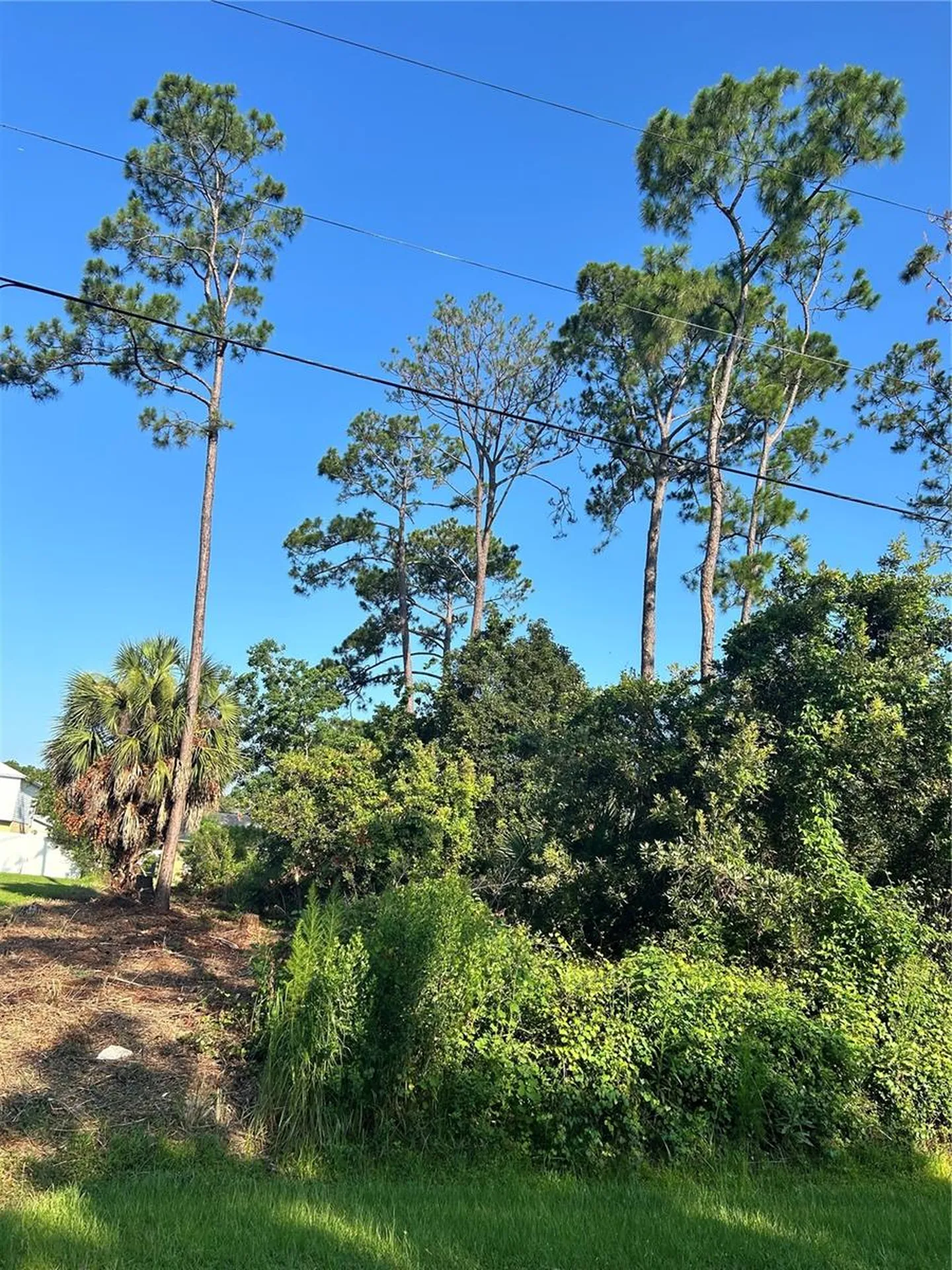 4 Ryberry Drive Palm Coast FL 32164