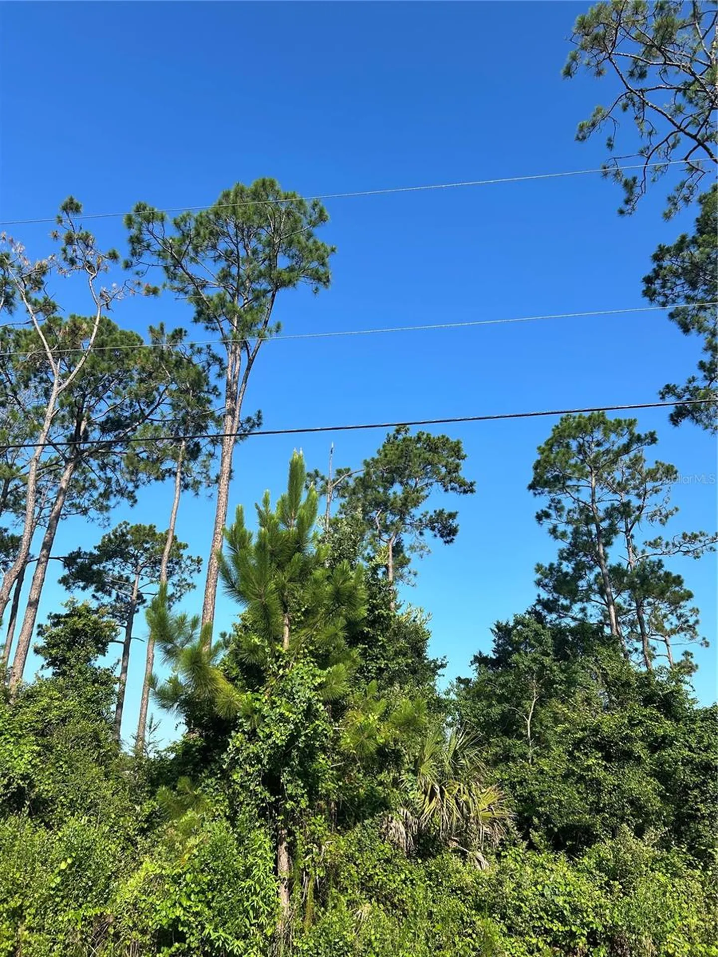 4 Ryberry Drive Palm Coast FL 32164