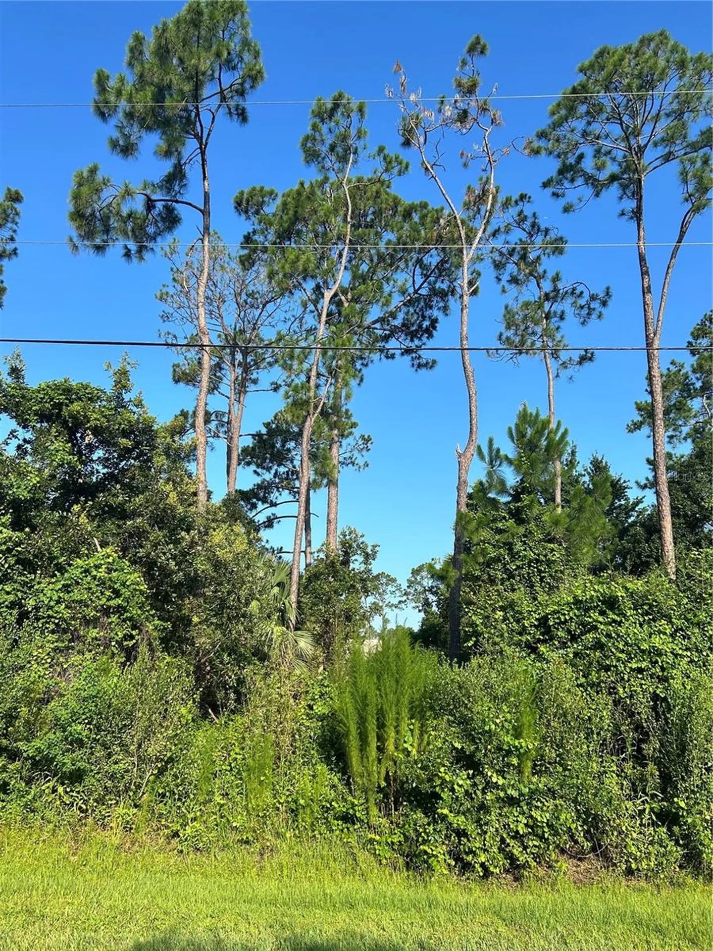 4 Ryberry Drive Palm Coast FL 32164