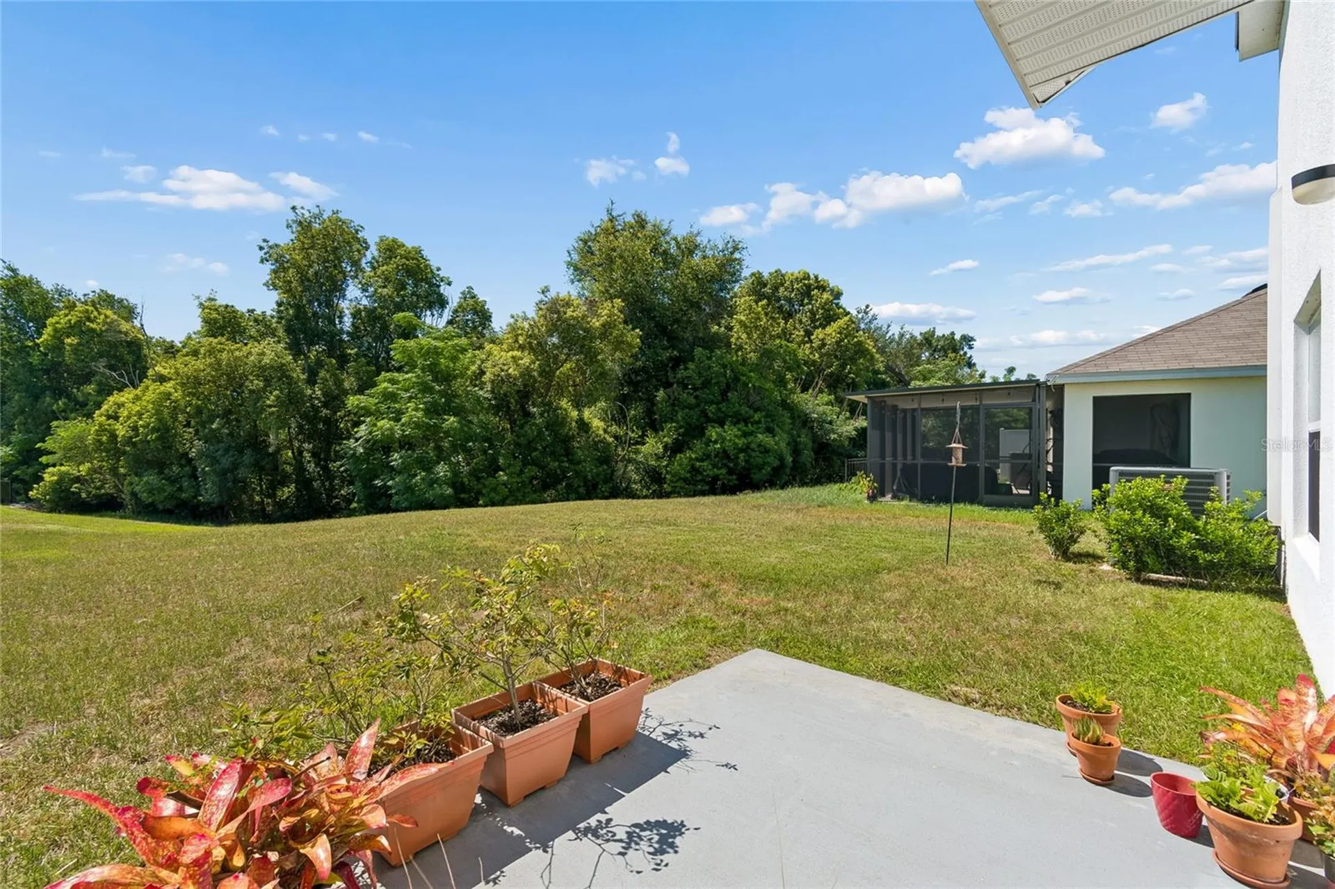 13756 Whiskey Daisy Drive Dade City FL 33525