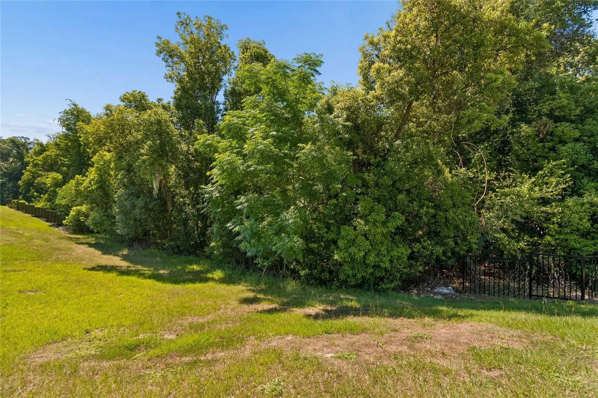 13756 Whiskey Daisy Drive Dade City FL 33525