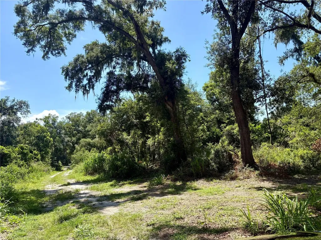 Sydney Washer Road Dover FL 33527