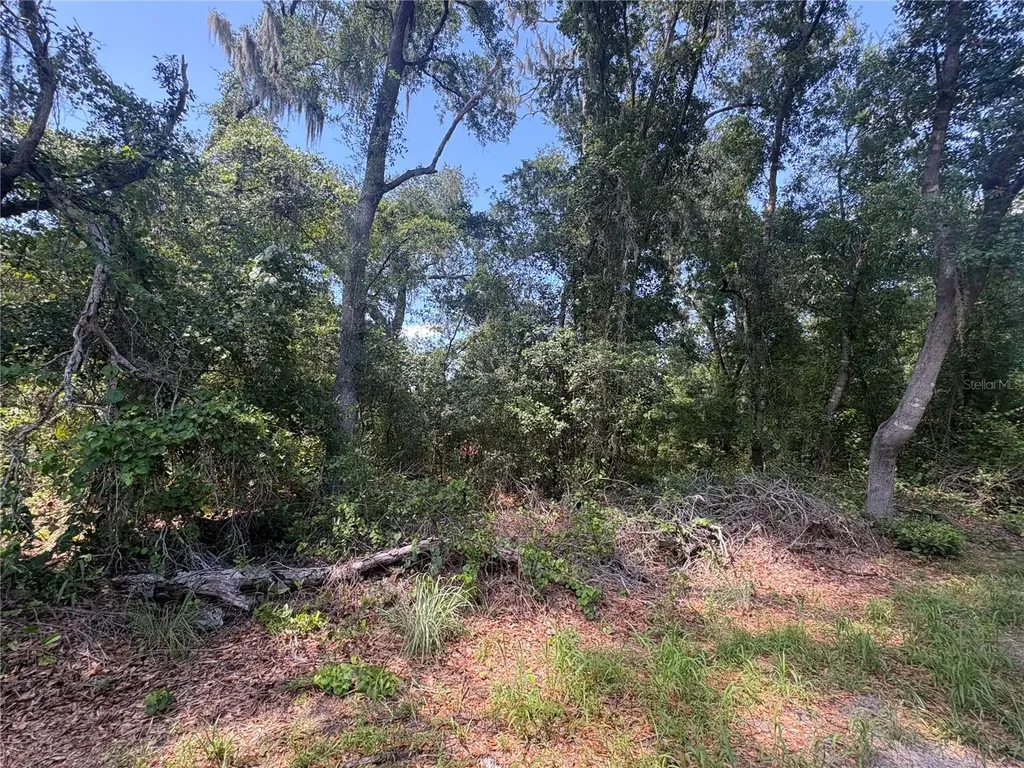 Sydney Washer Road Dover FL 33527