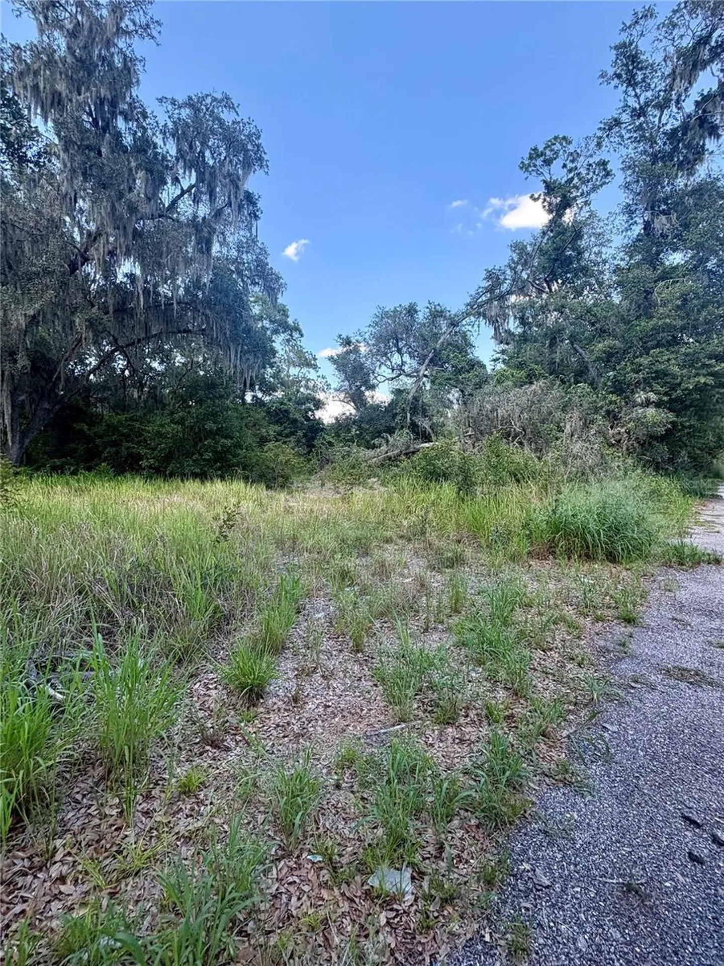 Sydney Washer Road Dover FL 33527