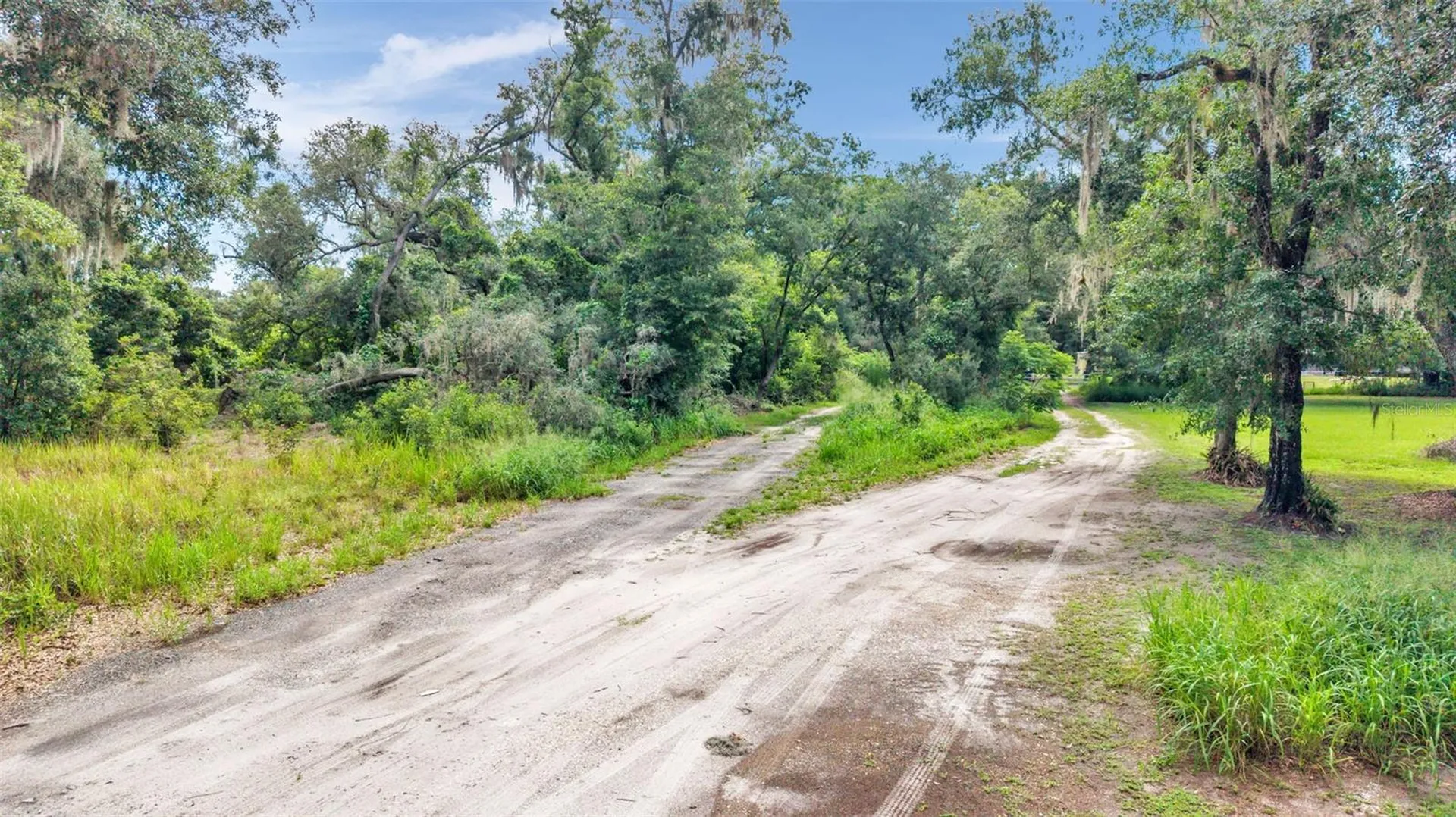 Sydney Washer Road Dover FL 33527