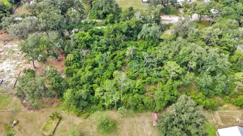 Sydney Washer Road Dover FL 33527