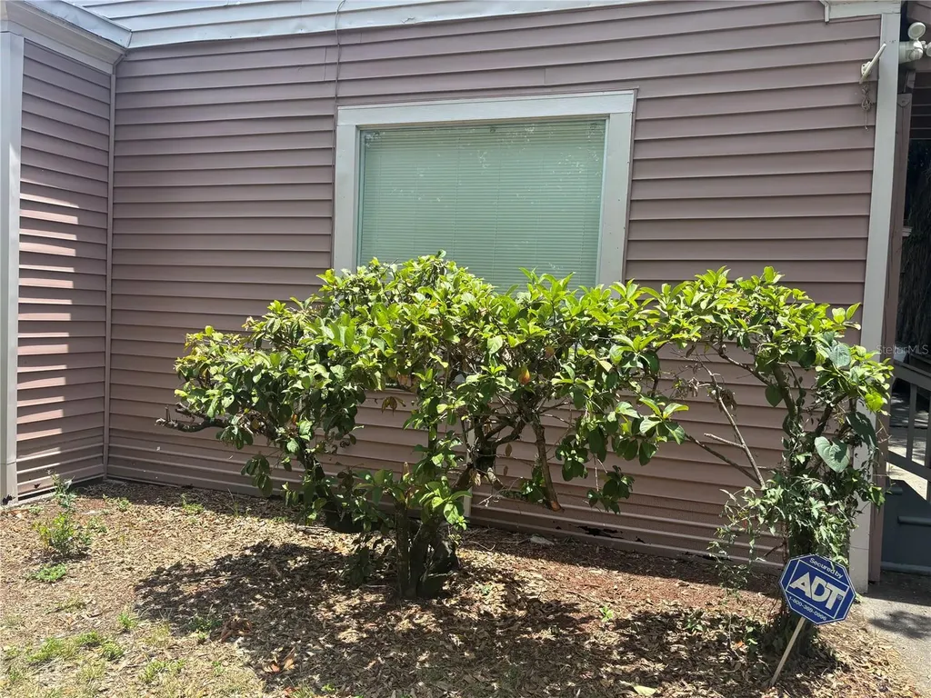 807 E Osborne Avenue Tampa FL 33603