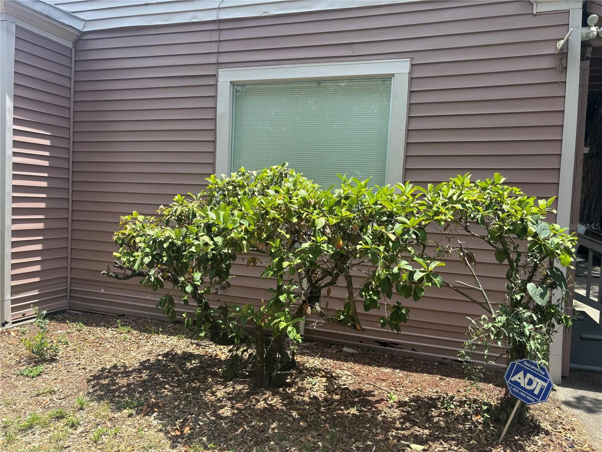 807 E Osborne Avenue Tampa FL 33603