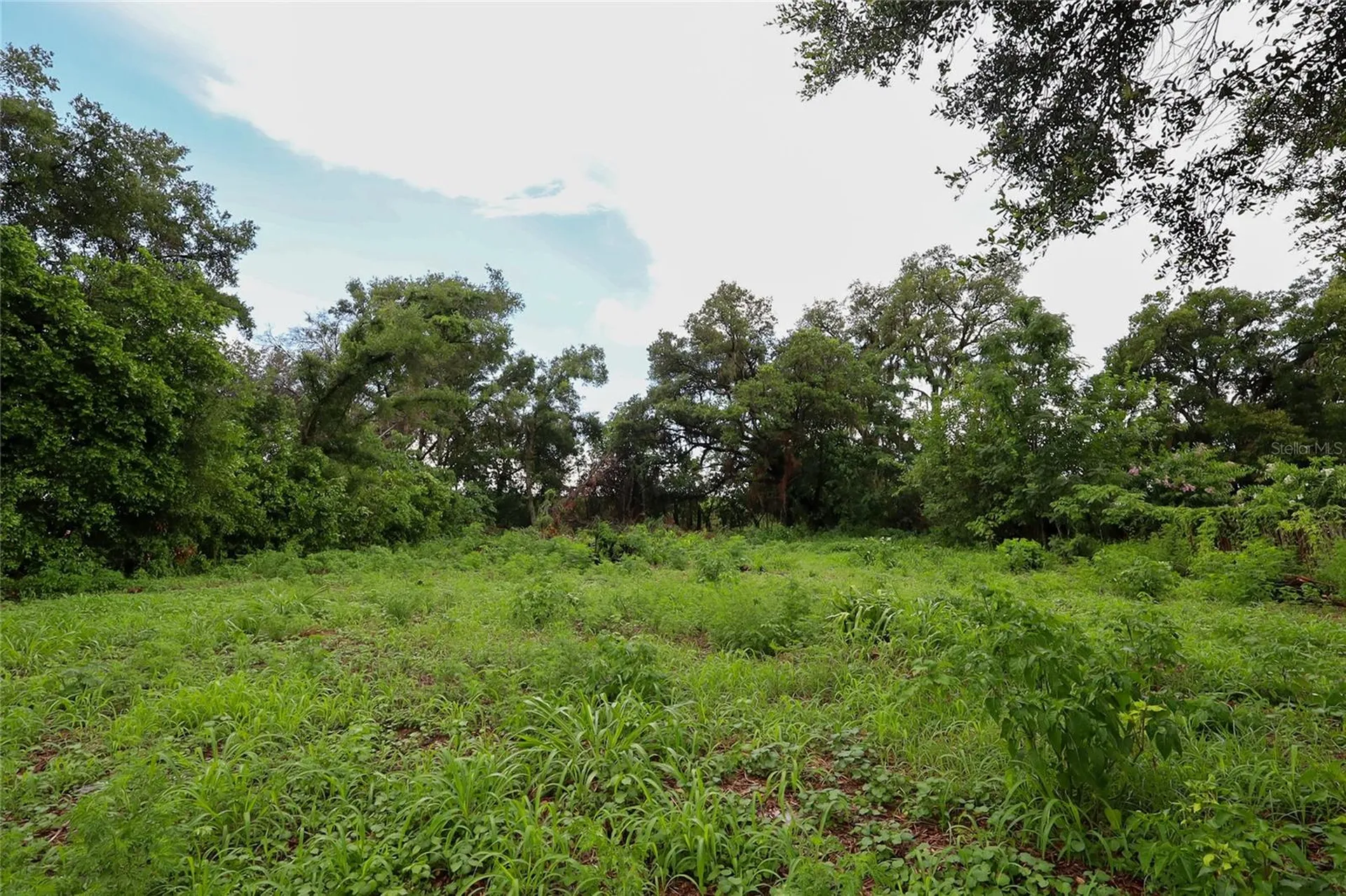 6427 A L Campbell Lane Seffner FL 33584