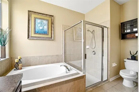 7742 Bulls Head Drive Wesley Chapel FL 33545