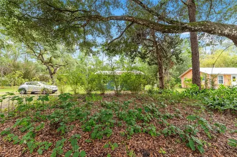 201-203 NE Tahota Avenue Micanopy FL 32667