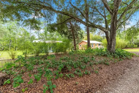 201-203 NE Tahota Avenue Micanopy FL 32667