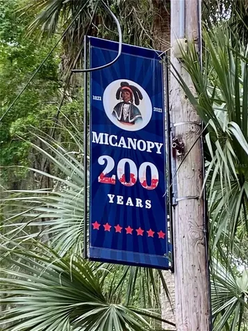 201-203 NE Tahota Avenue Micanopy FL 32667