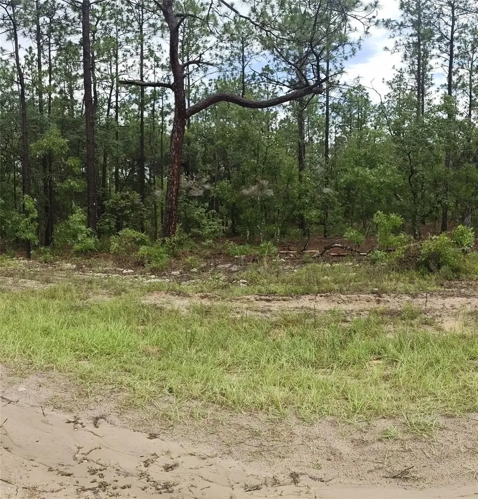 00 SW 69 Place Ocala FL 34481