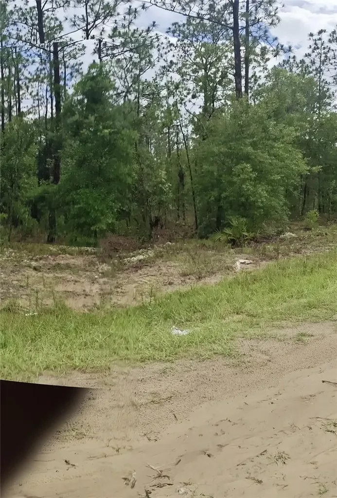 00 SW 69 Place Ocala FL 34481
