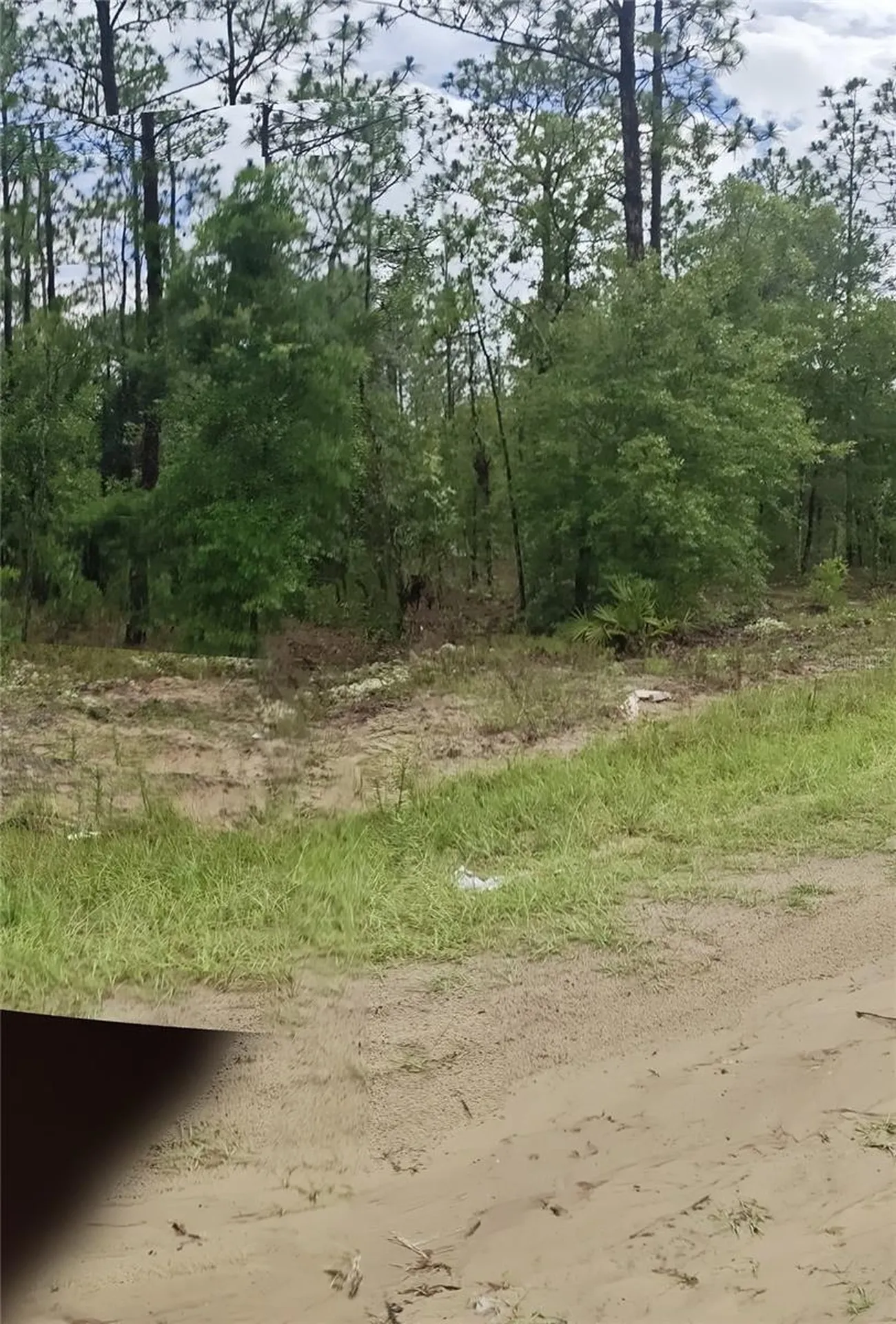 00 SW 69 Place Ocala FL 34481