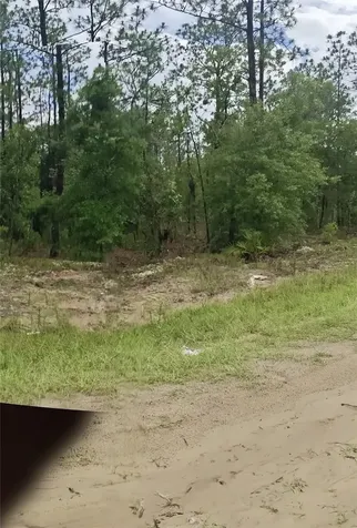 00 SW 69 Place Ocala FL 34481