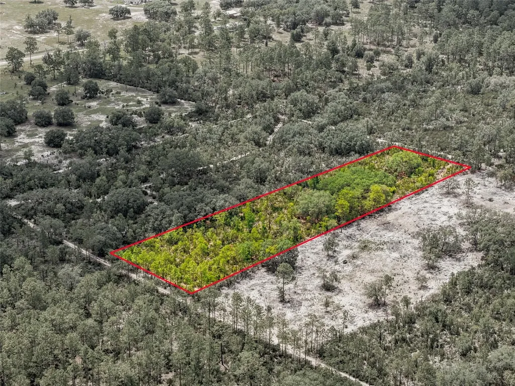 11290 NE 56th Street Bronson FL 32621