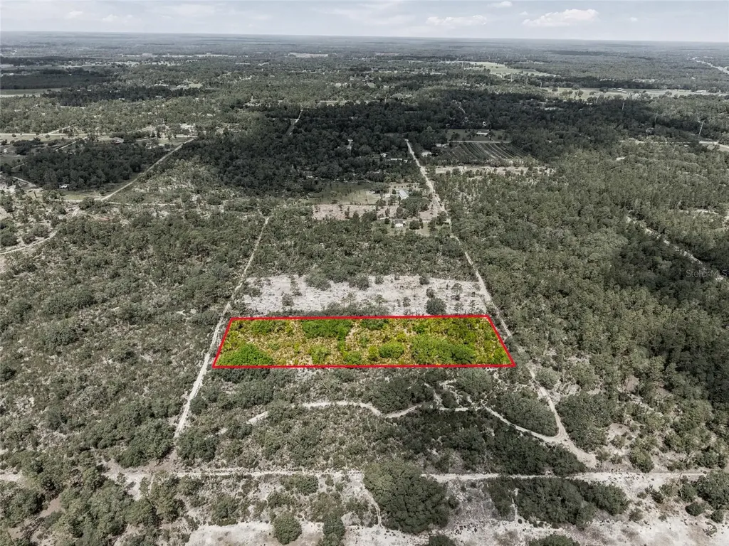11290 NE 56th Street Bronson FL 32621