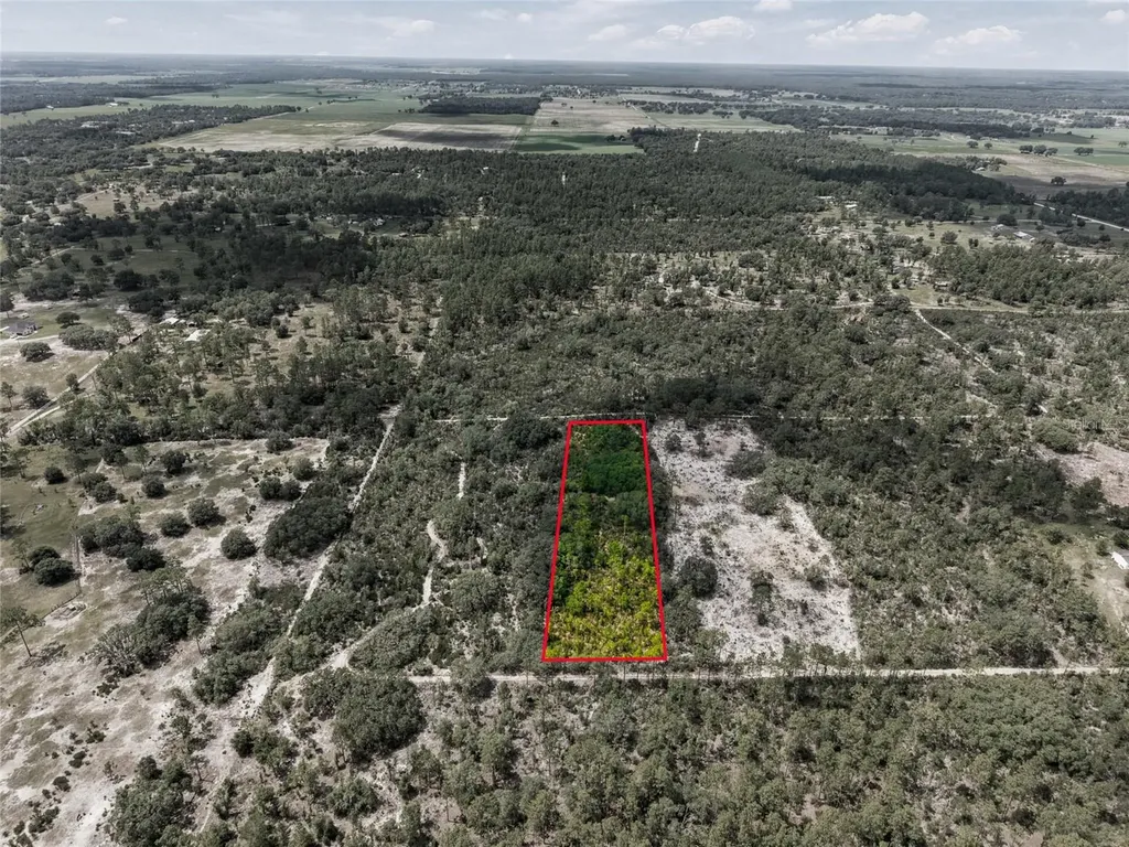 11290 NE 56th Street Bronson FL 32621