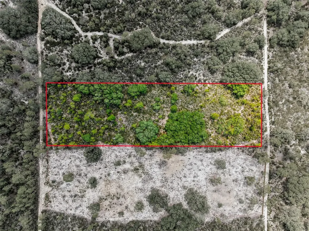 11290 NE 56th Street Bronson FL 32621