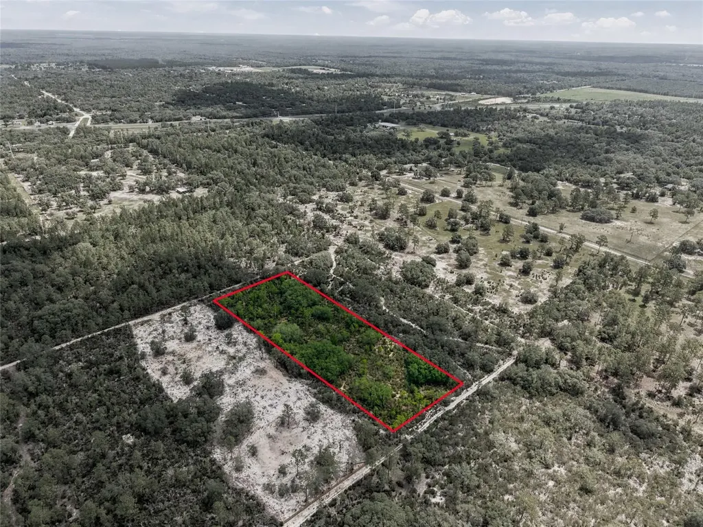 11290 NE 56th Street Bronson FL 32621