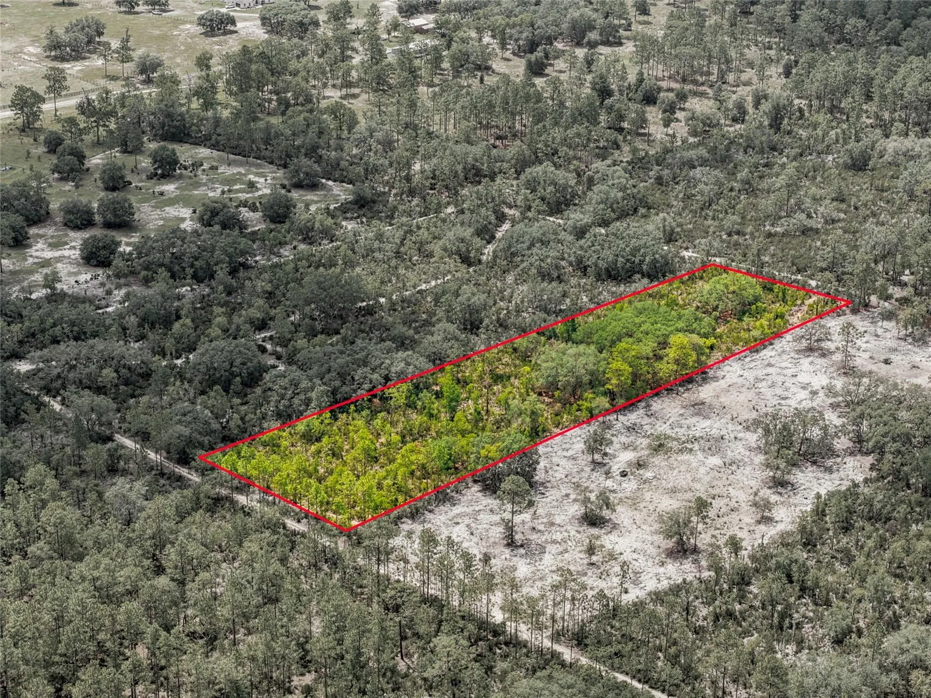 11290 NE 56th Street Bronson FL 32621