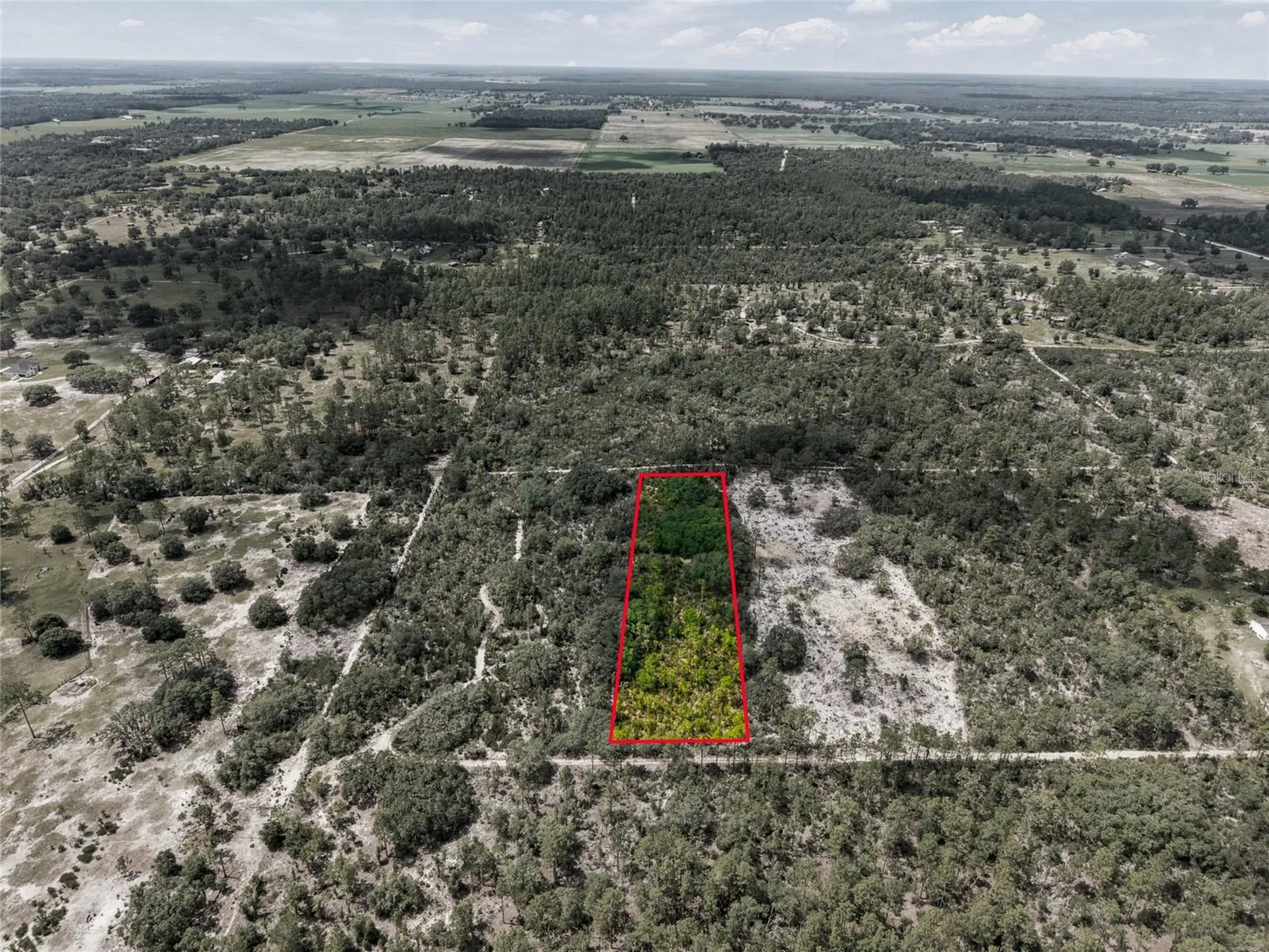 11290 NE 56th Street Bronson FL 32621