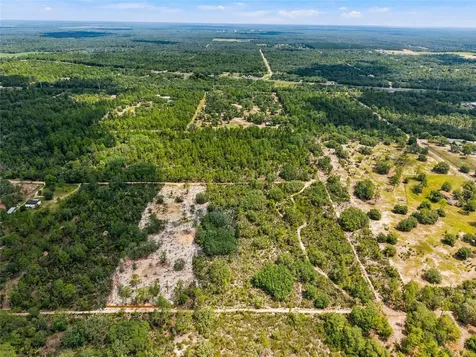 11290 NE 56th Street Bronson FL 32621