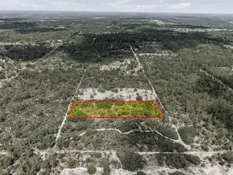 11290 NE 56th Street Bronson FL 32621