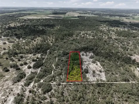 11290 NE 56th Street Bronson FL 32621