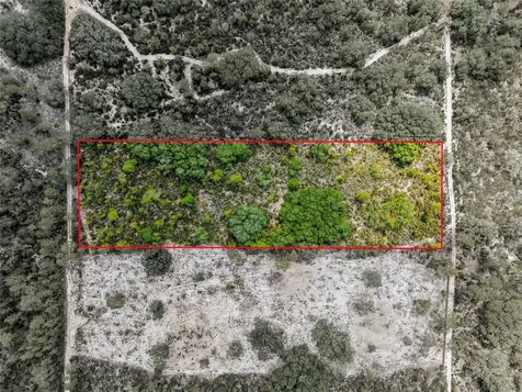11290 NE 56th Street Bronson FL 32621