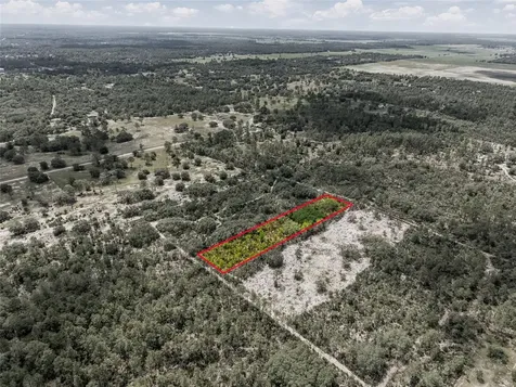 11290 NE 56th Street Bronson FL 32621